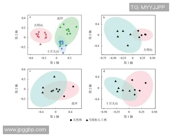 吉布森:从文学巨匠到文化符号的多维探索与影响分析 吉布森:从文学巨匠到文化符号的多维探索与影响分析