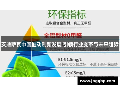 安迪萨瓦中国推动创新发展 引领行业变革与未来趋势