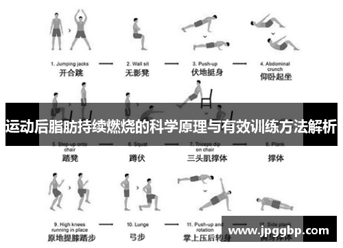 运动后脂肪持续燃烧的科学原理与有效训练方法解析